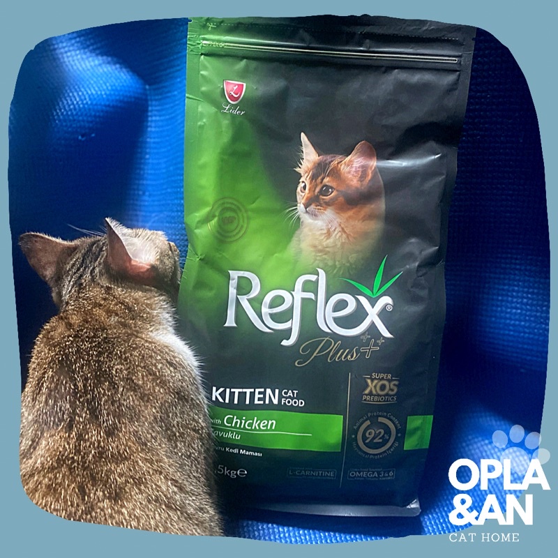 Hạt cho mèo Reflex Plus Kitten Food Chicken (1,5kg)