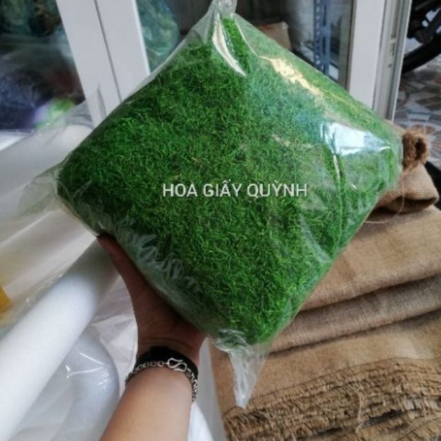 CỎ SỢI BỊCH lớn