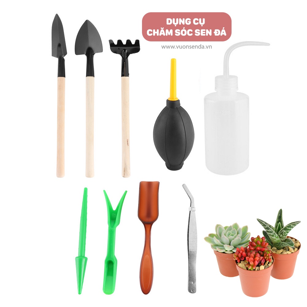 Bộ dụng cụ trồng sen đá 10 món - Vườn sen đá