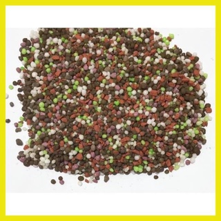 [HOT 2021] Phân Bón, Phân NPK 20-20-20 giúp tăng sức sống cây, giúp cây đâm chồi đẻ nhánh nhiều, bộ lá xanh, quang hợp.