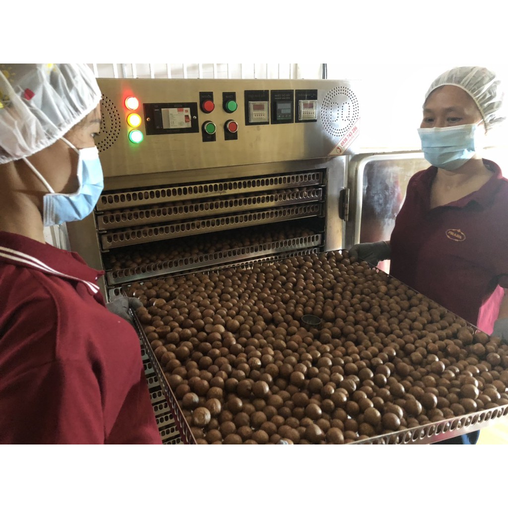 Thanh An Macca Sạch 500gr Size Nhỏ, Sấy Nứt Vỏ Lâm Đồng, Macadamia Kèm Lẫy | BigBuy360 - bigbuy360.vn