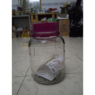 Keo Thủy tinh 2 lít ngâm