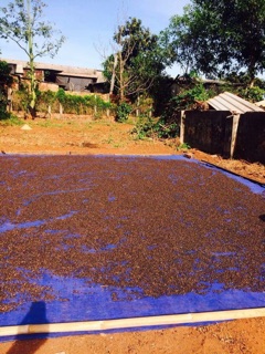 100gram hạt tiêu loại 1 nhà trồng