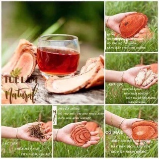 Cỏ máu tăng cân