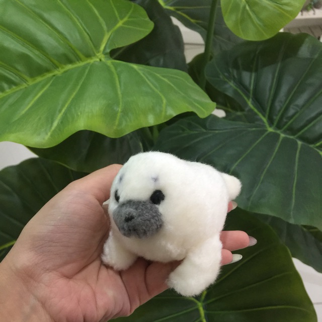 Gấu bông hải cẩu trắng