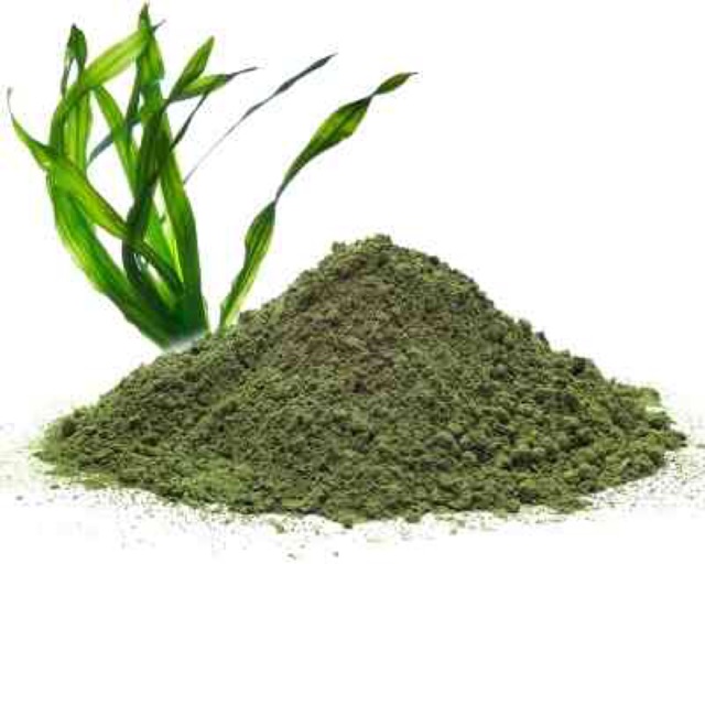 BỘT RONG BIỂN - 100g