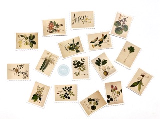 10 Stickers Cây Cỏ dạng tem
