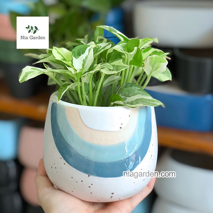 (B2) Chậu cây phong cách Bắc Âu Scandinavian Style trồng cây để bàn Nia Garden N9