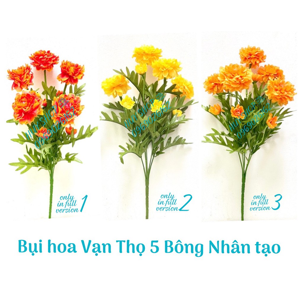 HOA GIẢ - BỤI HOA VẠN THỌ 5 BÔNG