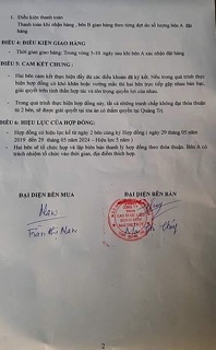 Cao chè vằng Quảng Trị