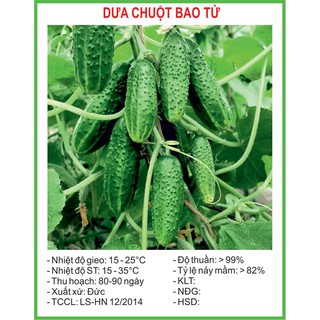 Hạt Giống Dưa chuột bao tử 10 Hạt/ Gói