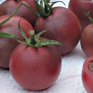 5h Hạt Giống Cà Chua Chocolate ĐẠI GIẢM GIÁ TẾT