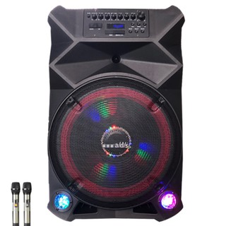 Loa kéo di động Ads BD-T15D