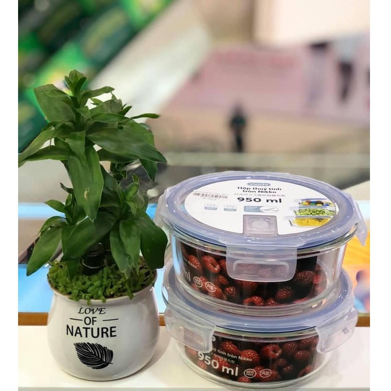 Hộp Thuỷ Tinh Đựng Thực Phẩm tròn INOCHI Trong Ngăn Đá Tủ Lạnh, Bảo Quản Thực Phẩm Tươi TTCN | BigBuy360 - bigbuy360.vn