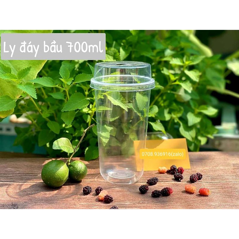 100 ly bầu 360ml_500ml_650ml