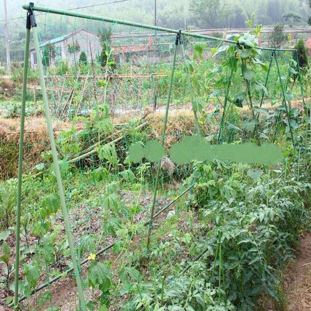 FAY Lưới Trồng Cây Dây Leo Chất Lượng Cao