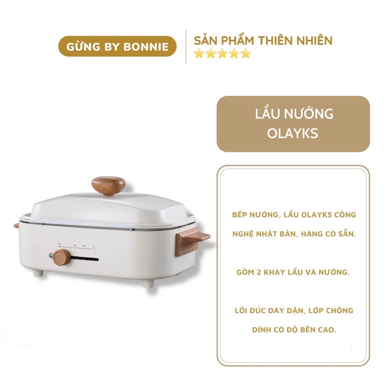Bếp nướng lẩu Olayks