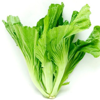 Hạt giống rau cải bẹ dưa