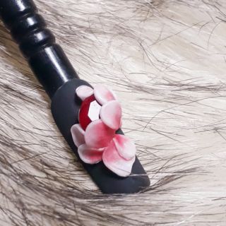 Hoa ôm đá khối