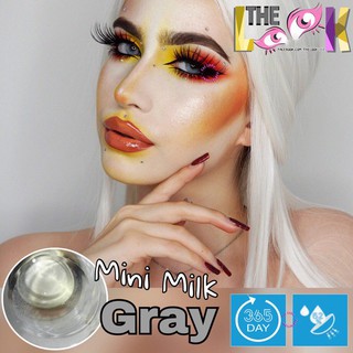 Lens Kính Sát Tròng Milk Gray