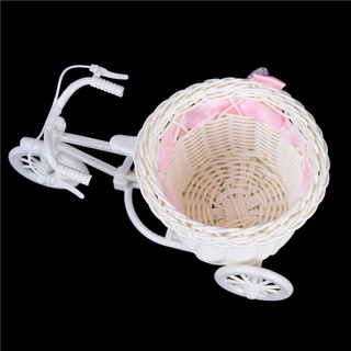 Bộ 2 Bình Hoa Dạng Bện Hình Xe Đạp Lãng Mạn