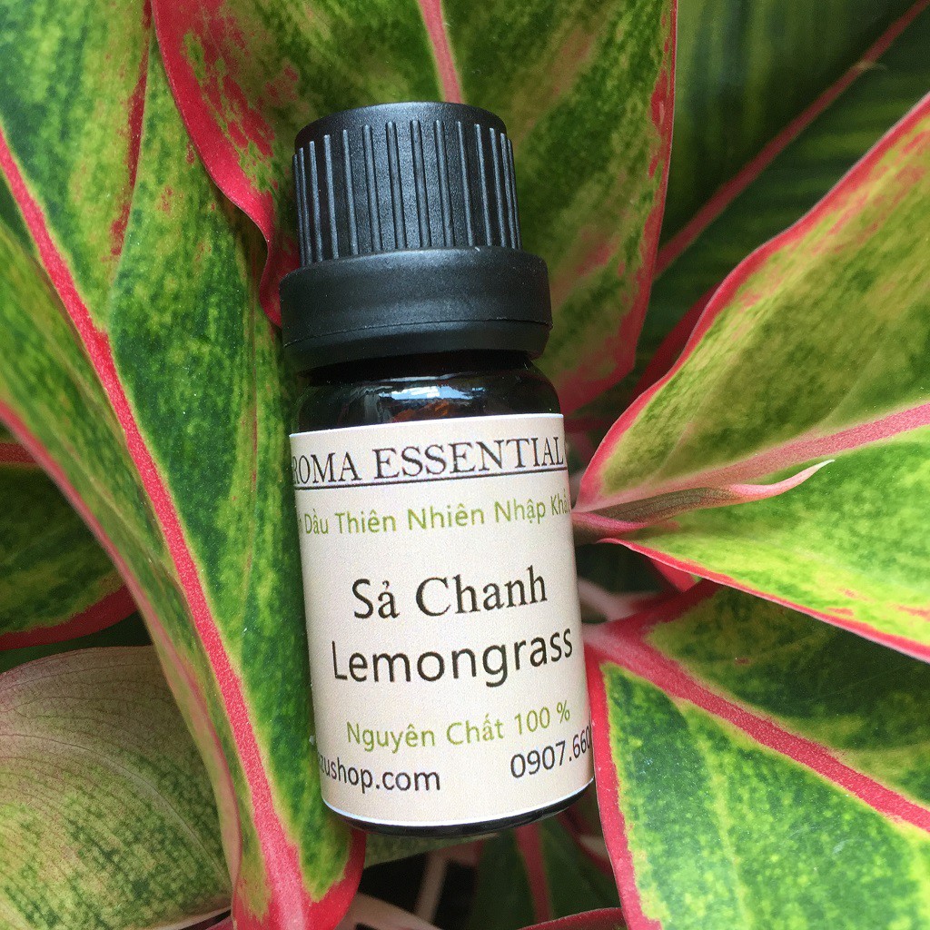 Tinh dầu sả chanh lemongrass tạo hương thơm