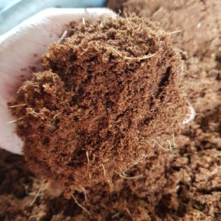 Mụn dừa/ Mụn dừa ép cục/ Mụn dừa đã xử lý