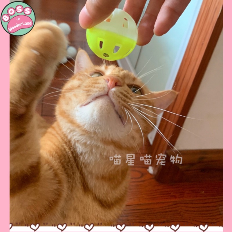 ĐỒ CHƠI BÓNG CHUÔNG NHỰA CHO MÈO