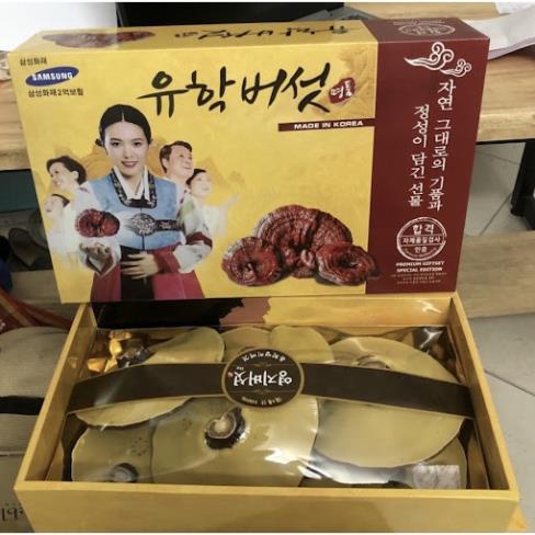 Nấm Linh Chi Vàng Chanh Hàn Quốc Hộp Giấy Hình Cô Gái - Chính Hãng