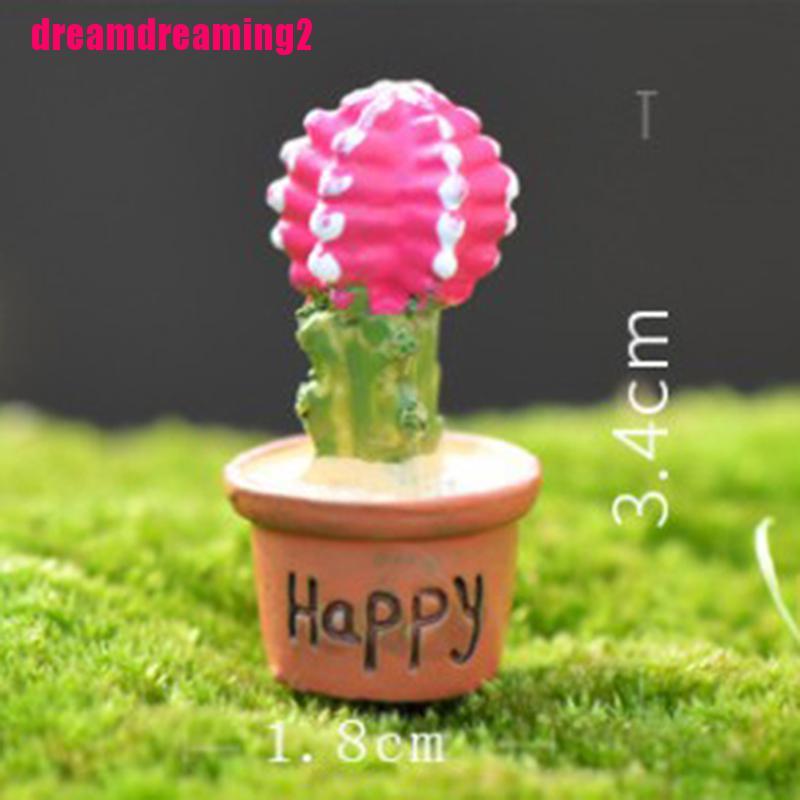 Cây Xương Rồng Mini Trang Trí Sân Vườn