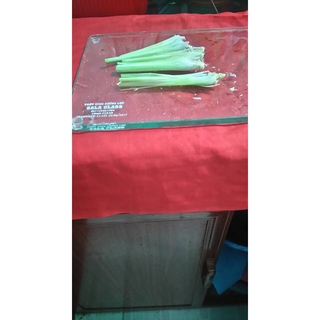 Thớt kính cường lực