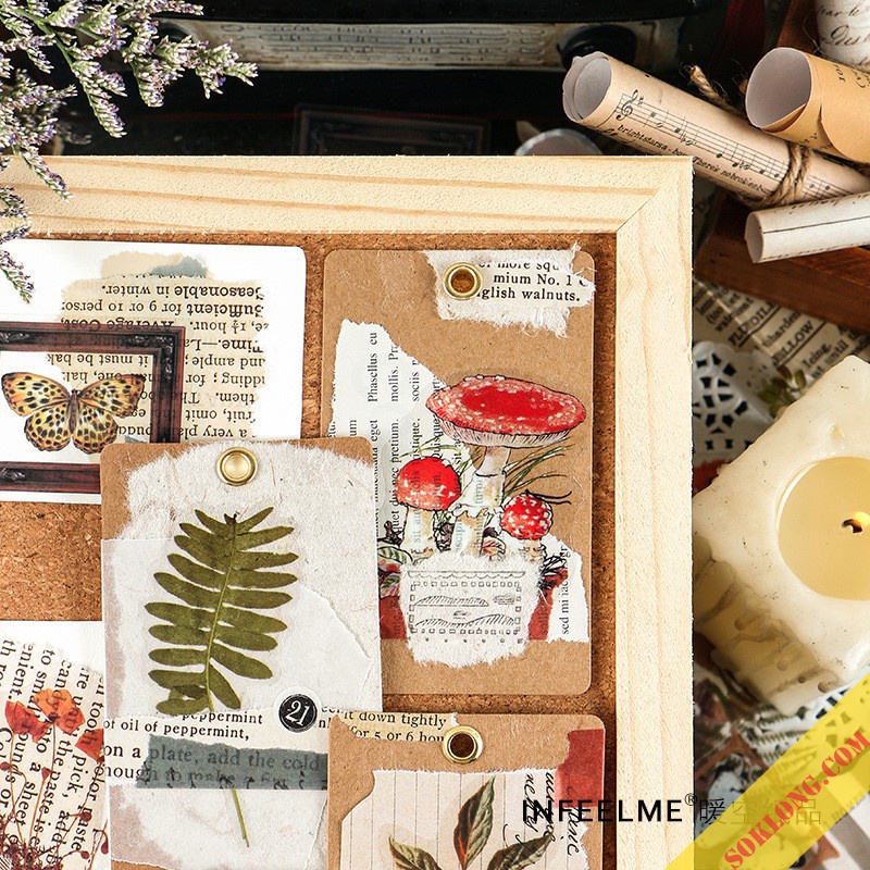 Bộ 6 hoa lá khô STI13, sticker trang trí album, sổ tay Tuệ Minh