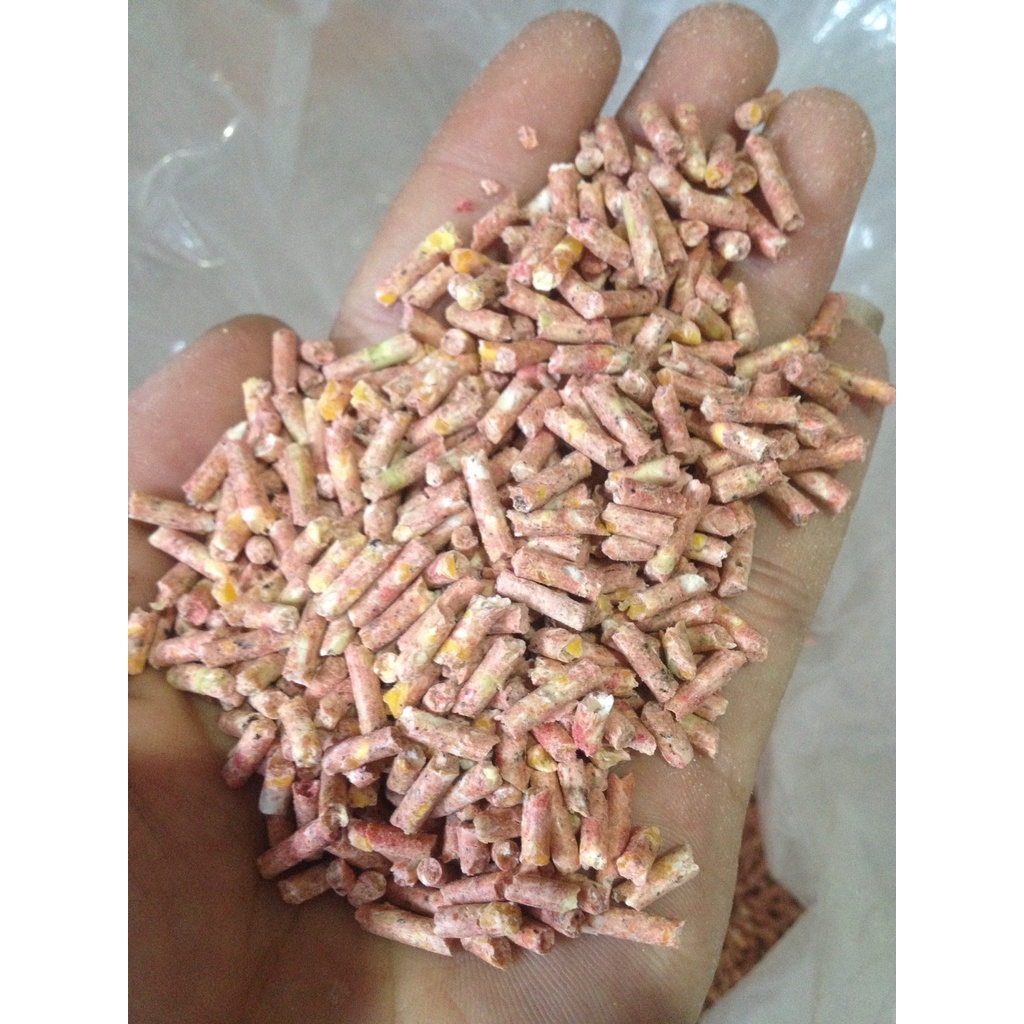 1KG ngũ côc ép viên cho GÀ ĐÁ giúp gà sung mãn, tăng sức bền