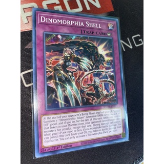 Dinomorphia shell - bach-en071 - common 1st edition