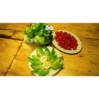 Hạt giống cải mầm đá