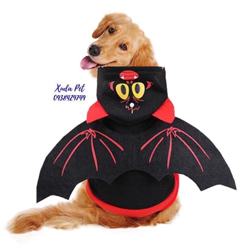 Áo hóa trang halloween cho chó mèo hình cánh dơi siêu chất, siêu ngộ nghĩnh Xudapet-SP500114