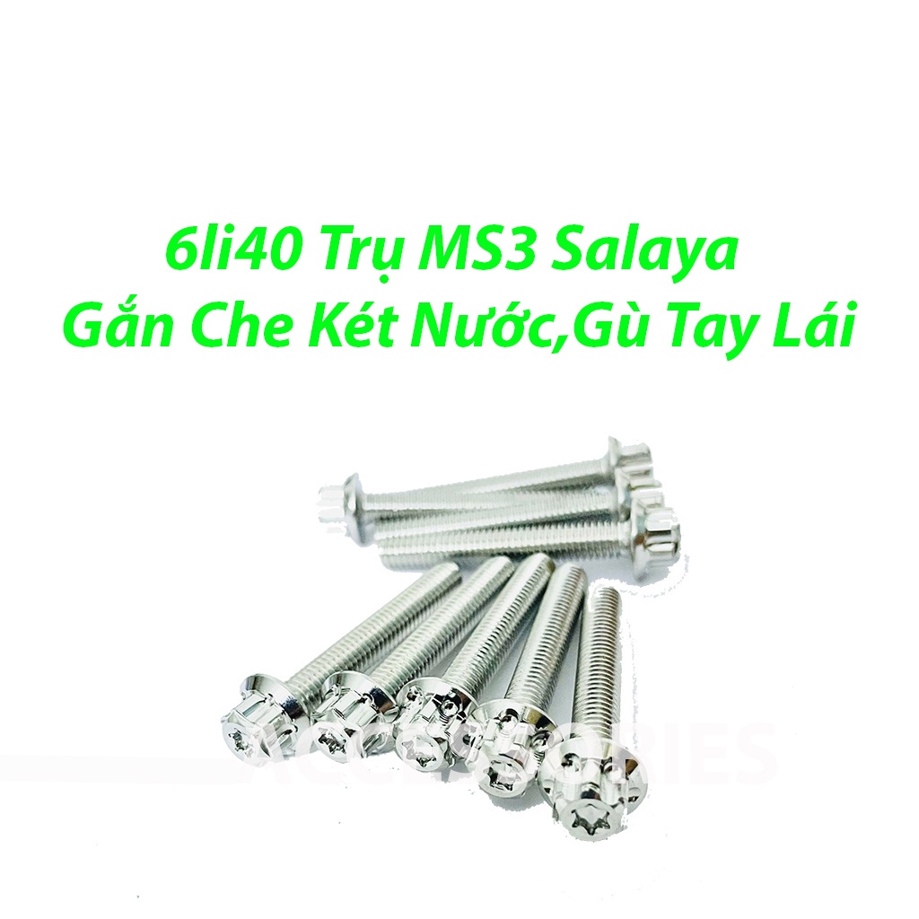 Cặp ốc salaya kèm tán inox 306 xỏ gác chân,  Gắn Che Két Nước Gù Tay Lái Không Kèm Tán