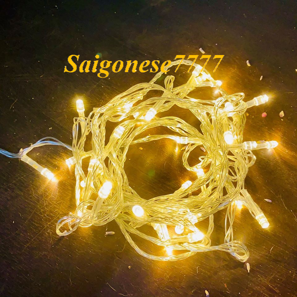 Đèn Led Không Chớp Xài Điện-Dài 8 Mét Đèn Led Đom Đóm Fairy Light Quấn Cây Sân Vườn Trang Trí Tiệc Lễ Tết Noel