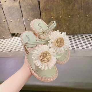 Sandan hoa cúc đế cói- Siêu cute