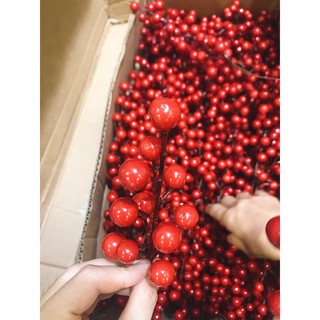 ĐÀO ĐÔNG ĐỎ, quả cherry, chùm 12 quả to đẹp