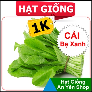Hạt Giống 1K Cải Bẹ Xanh Mỡ, nhanh thu hoạch, dễ trồng, nảy mầm và năng suất cao