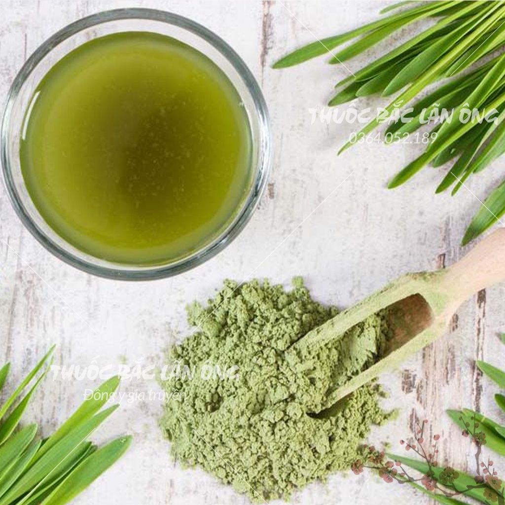 Bột chùm ngây sấy lạnh nguyên chất 100g