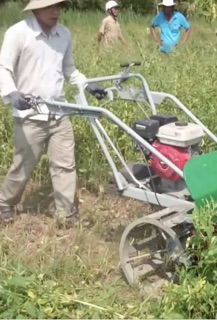 500Gam Vừng (Mè) trắng Oganic