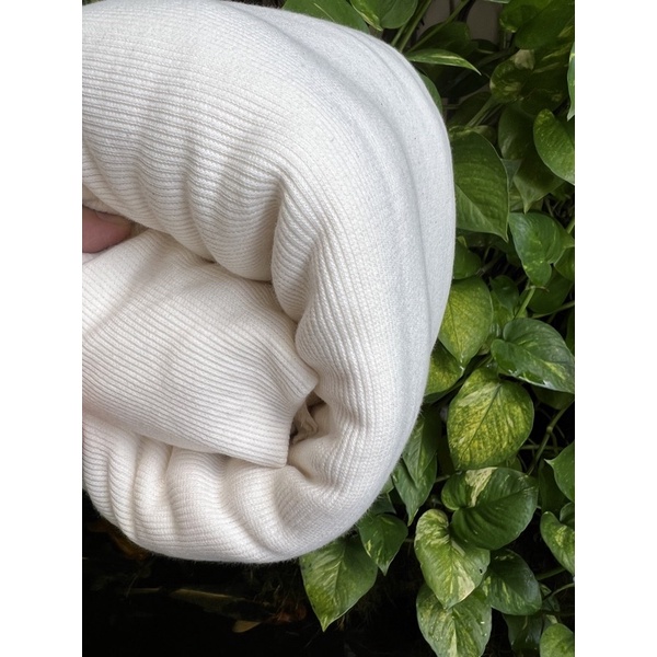 Vải thun gân 100% cotton co dãn 2 chiều và 4 chiều