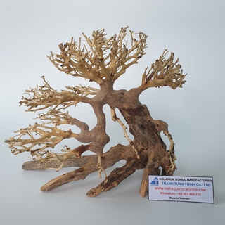 Lũa thủy sinh cho hồ thuỷ sinh size nhỏ 25x20cm BS13