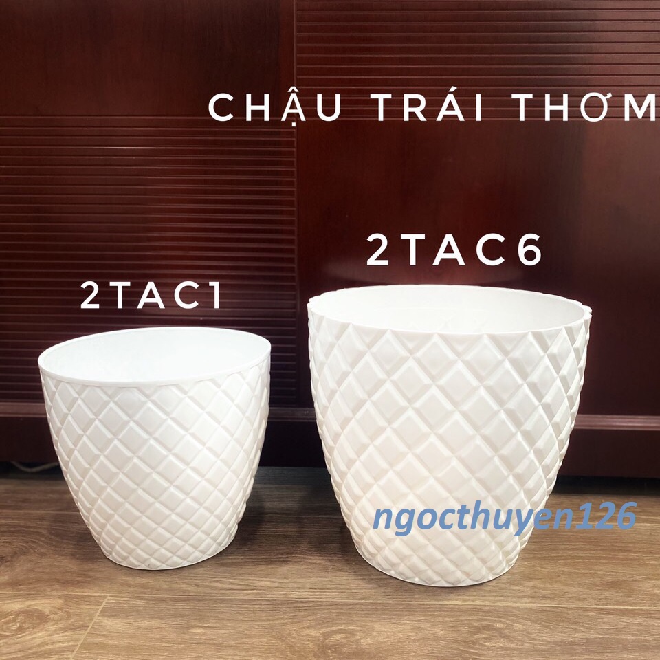 Bộ 04 chậu trái thơm trồng hoa màu trắng nhựa dày đẹp size lớn 26x24x16cm