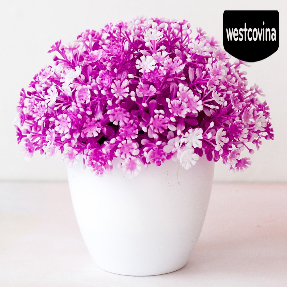 [Hot]☀ Chậu Hoa Bonsai Để Bàn Trang Trí Khách Sạn / Nhà Cửa