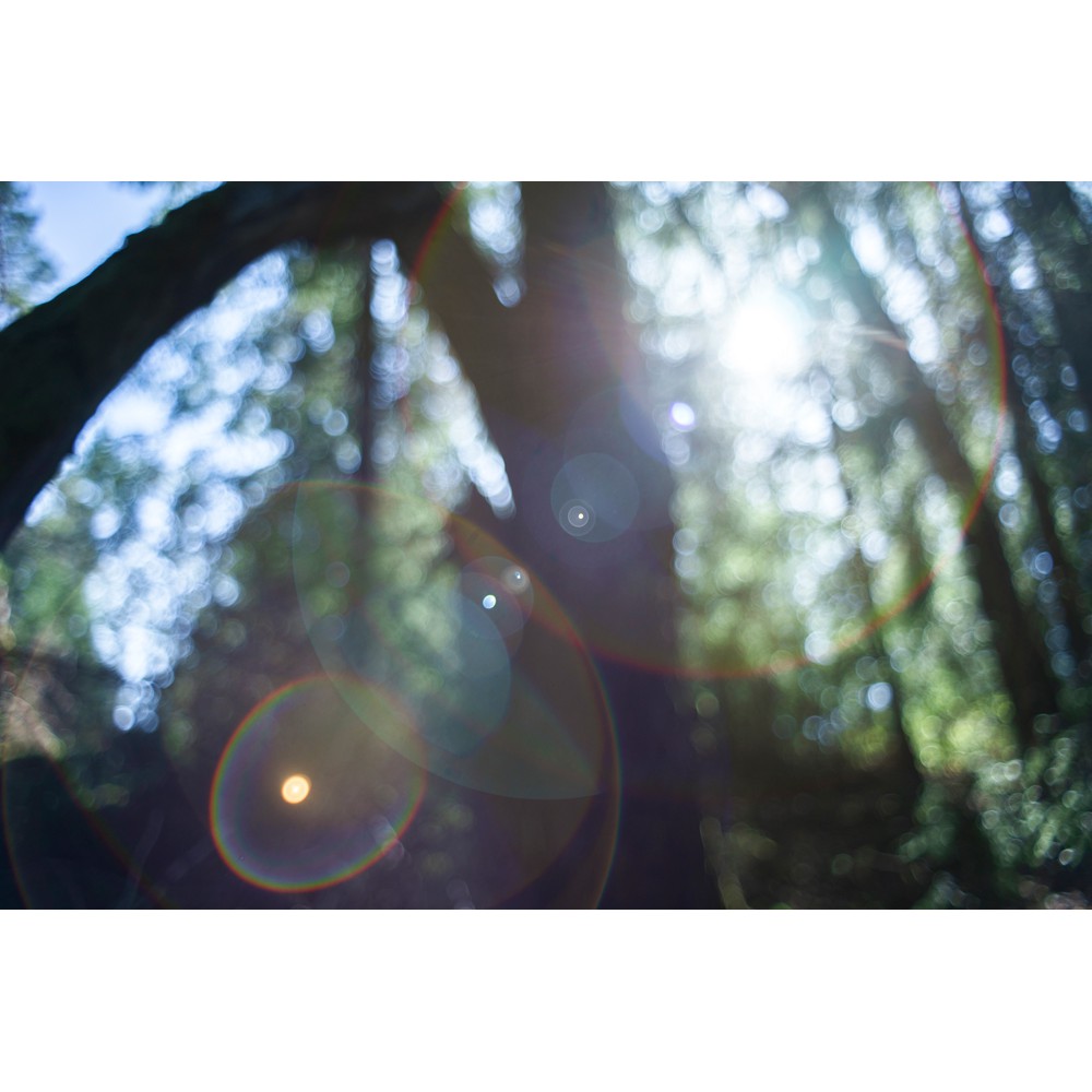 Lens SMC Takumar 55f1.8 đời 3, ngàm m42