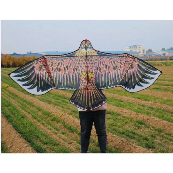 Diều chim ưng khổng lồ 3,6m làm bằng vải khung thanh carbon chắc chắn tặng kèm 100m dây dù