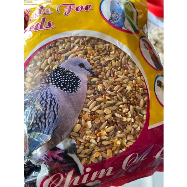 Ngũ cốc cho chim cu gáy Bifood-400gr